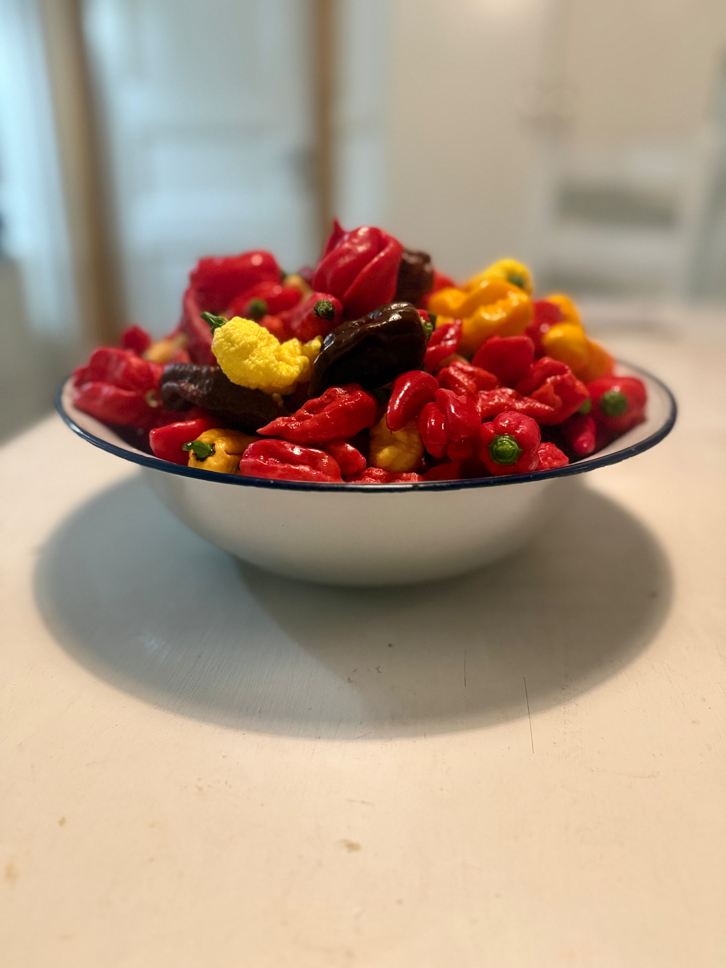 Skål med färgglada chilifrukter odlade i Ramsdalen